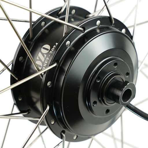 [009216] ⚡ Moteur hornet 250W axe traversant